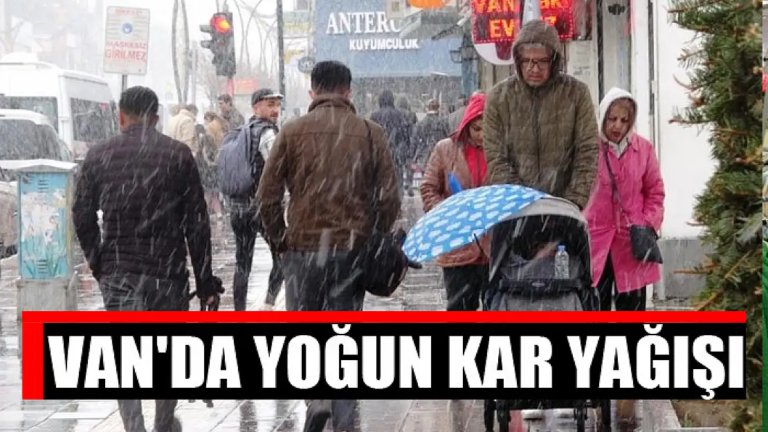 Van'da yoğun kar yağışı