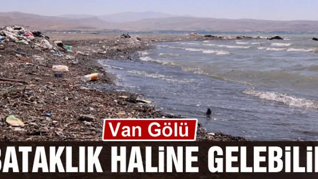 Van Gölü bataklık haline gelebilir