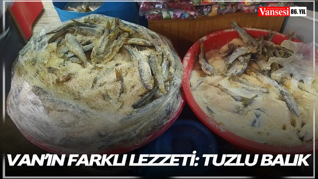 Van'ın farklı lezzeti: Tuzlu balık