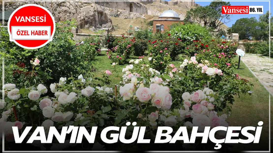 Van'ın Gül Bahçesi