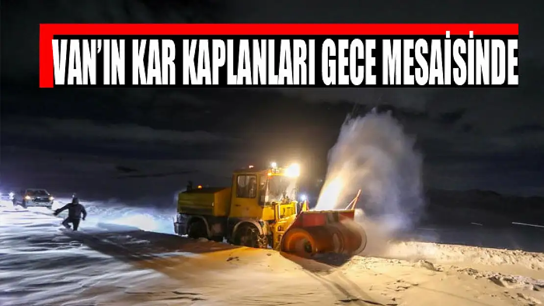 Van'ın kar kaplanları gece mesaisinde