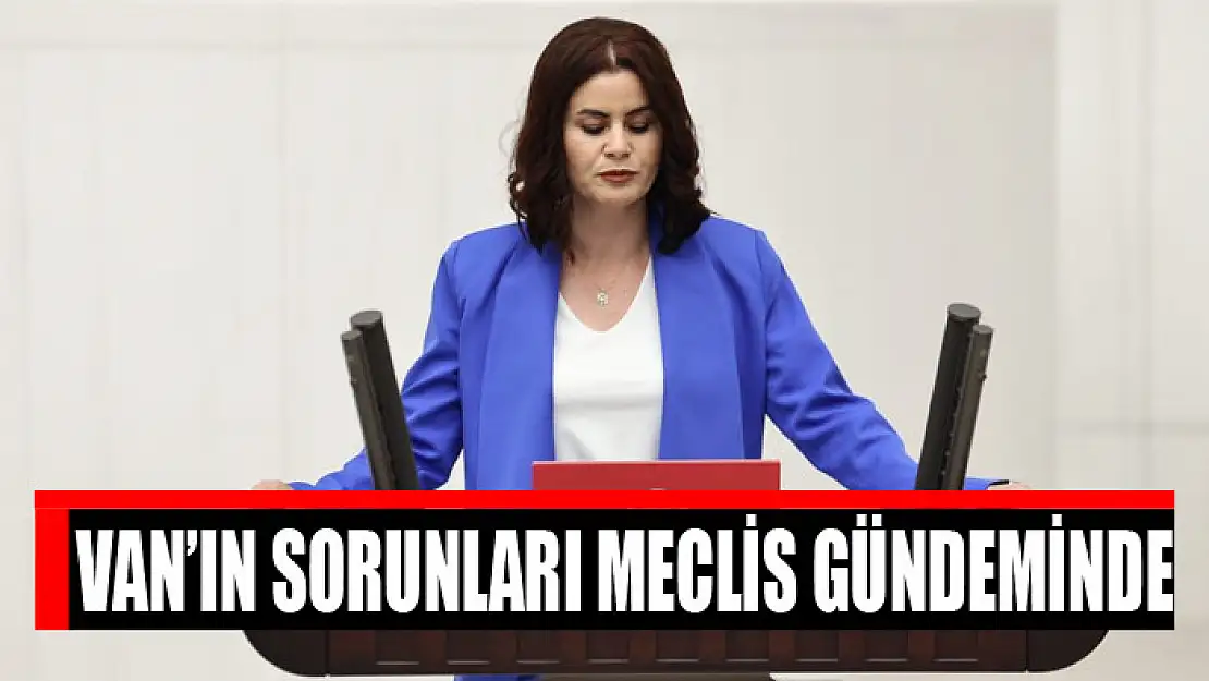 Van'ın sorunları meclis gündeminde