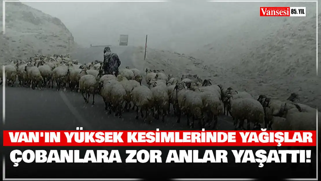 Van'ın yüksek kesimlerine kar yağdı, çobanlar zor anlar yaşadı