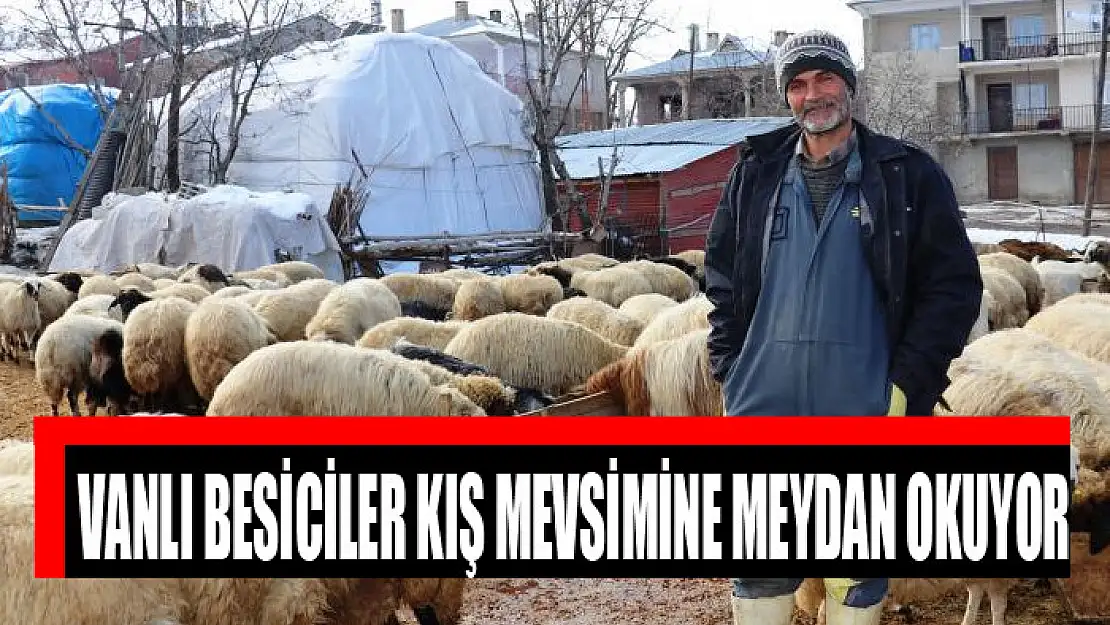 Vanlı besiciler kış mevsimine meydan okuyor