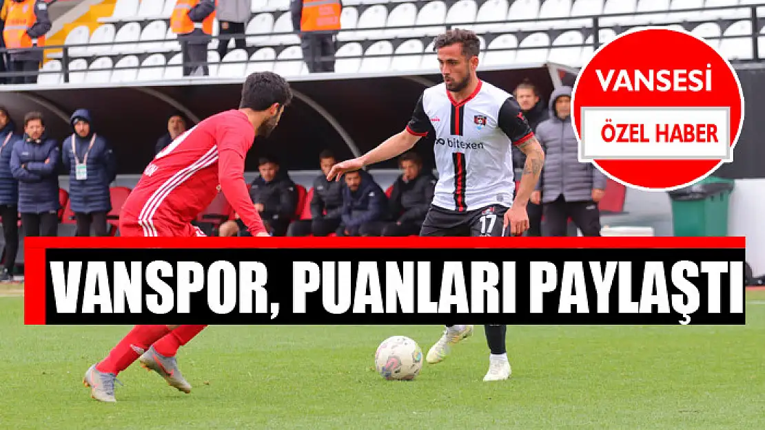 Vanspor, puanları paylaştı