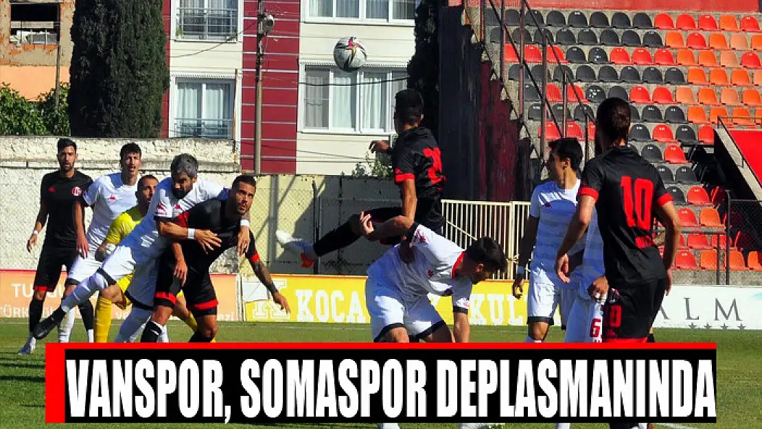 VANSPOR, SOMASPOR DEPLASMANINDA