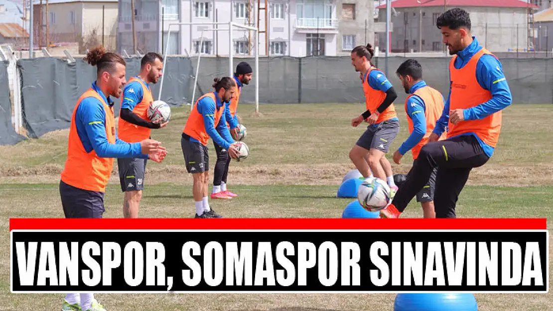 VANSPOR, SOMASPOR SINAVINDA