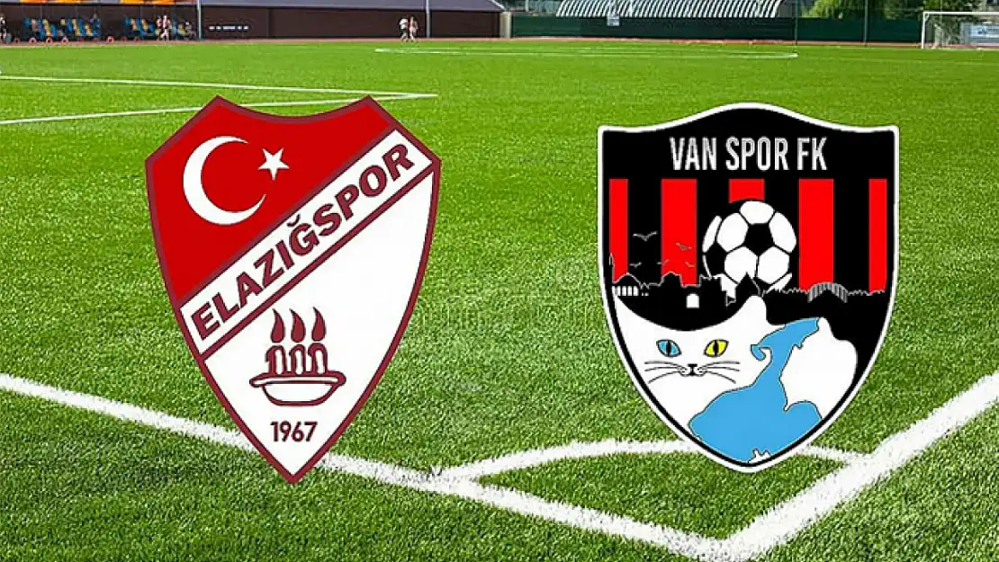 Vanspor ve Elazığspor PFDK'ya sevk edildi