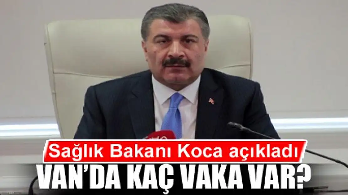 Van'da kaç vaka var?