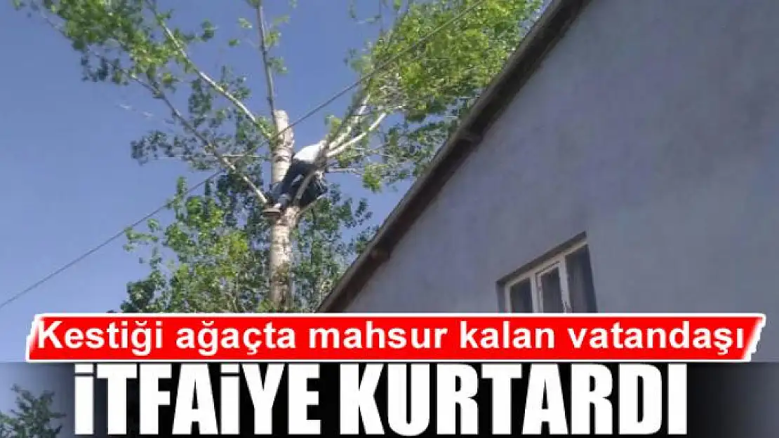 Kestiği ağaçta mahsur kalan vatandaşı itfaiye kurtardı