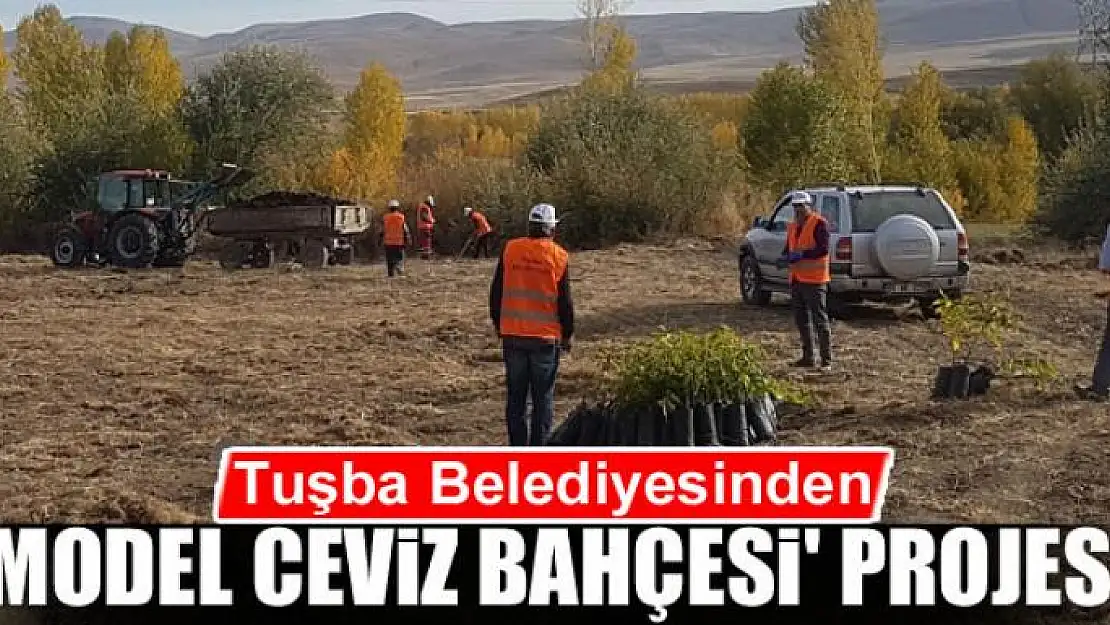 Tuşba Belediyesinden 'Model Ceviz Bahçesi' projesi