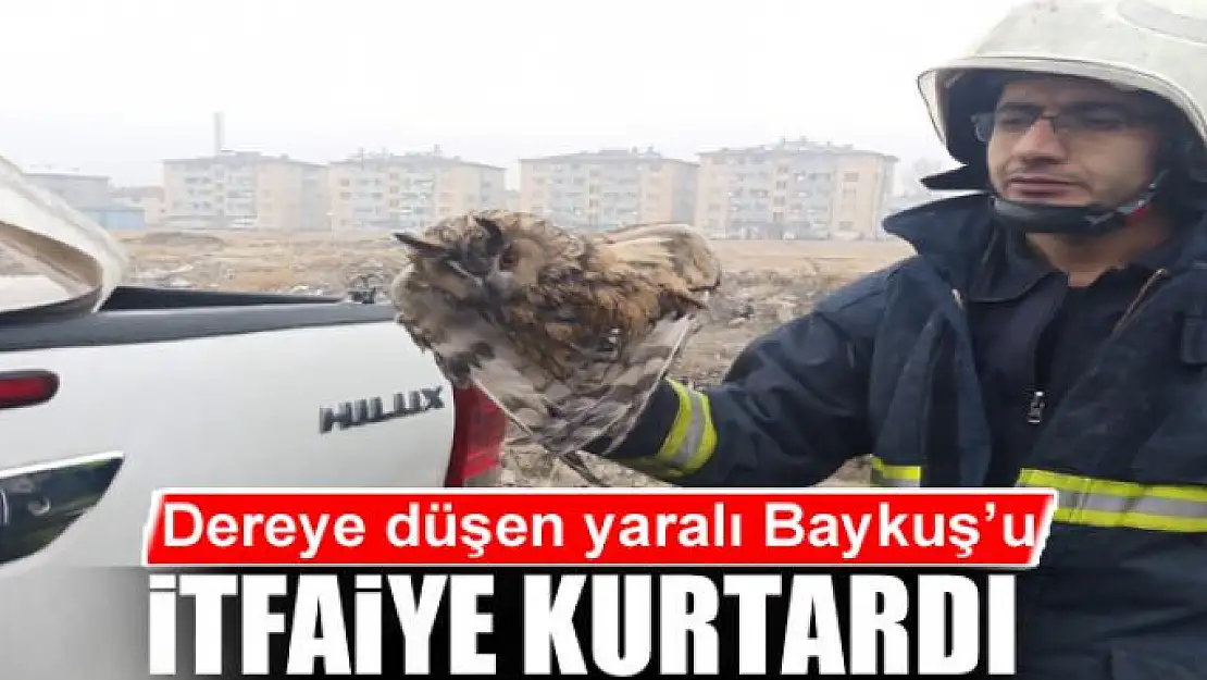 Dereye düşen yaralı Baykuş'u itfaiye kurtardı