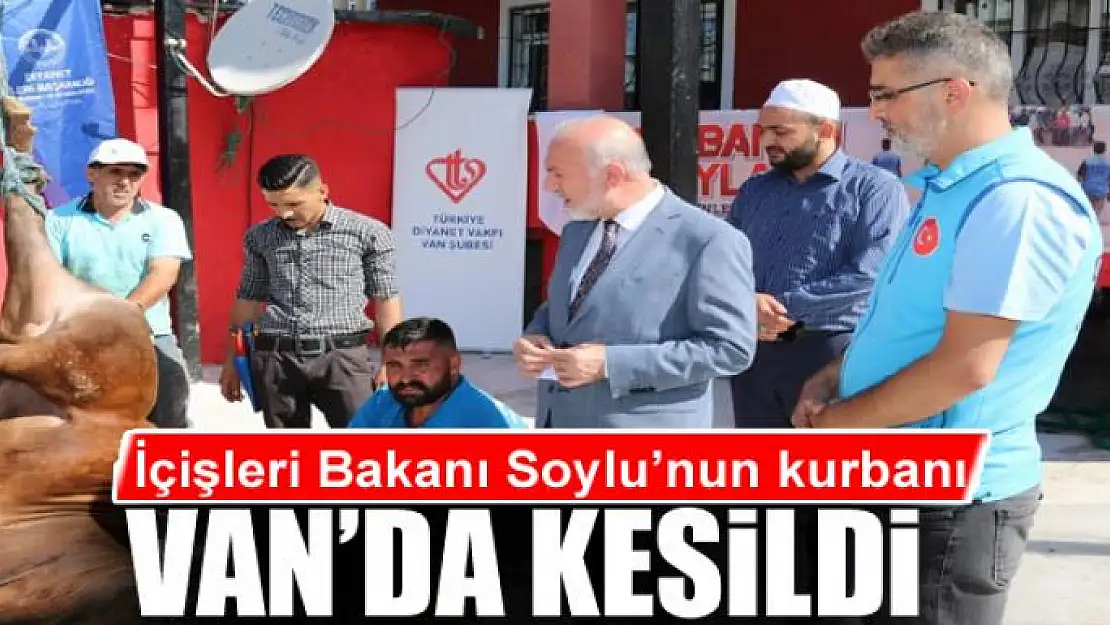 İçişleri Bakanı Soylu'nun kurbanı Van'da kesildi