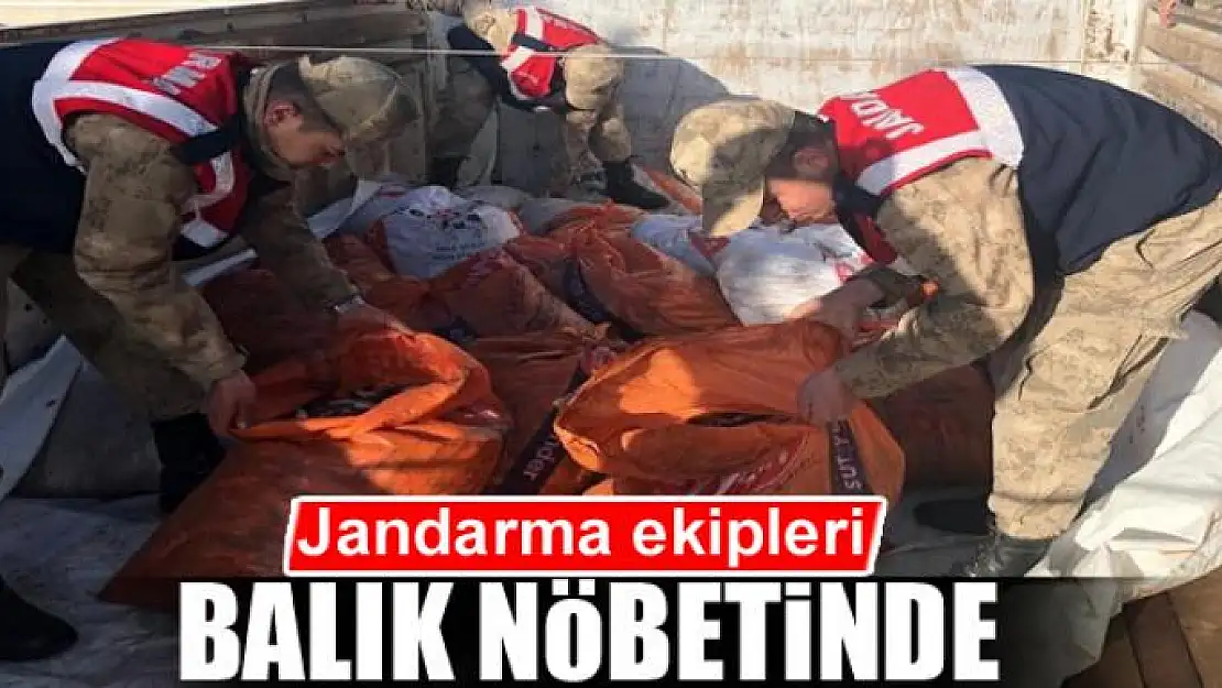 Jandarma ekipleri balık nöbetinde