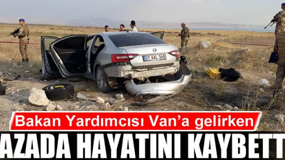 Bakan Yardımcısı Haluk Dursun, kazada hayatını kaybetti