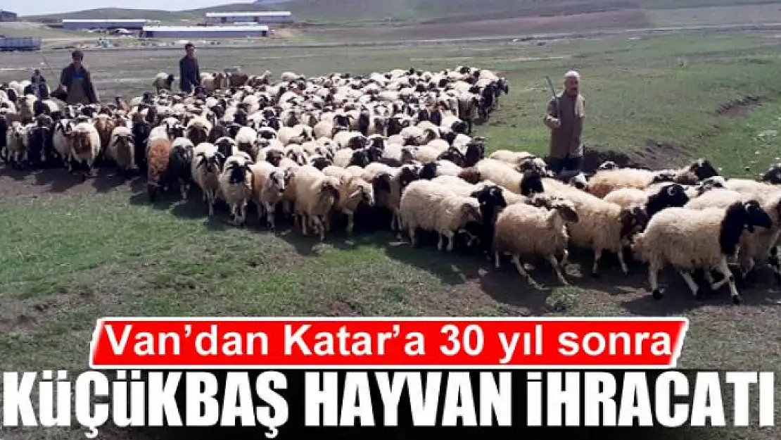 Van'dan Katar'a 30 yıl sonra küçükbaş hayvan ihracatı