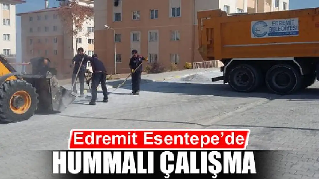 Edremit Esentepe'de hummalı çalışma