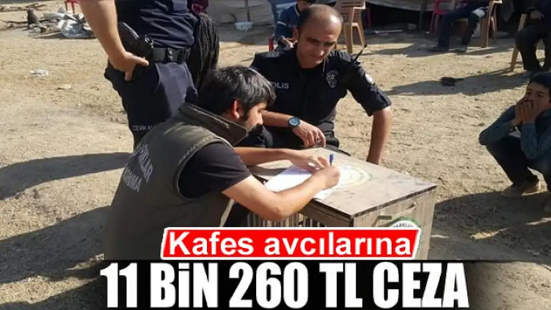 Kafes avcılarına 11 bin 260 TL ceza