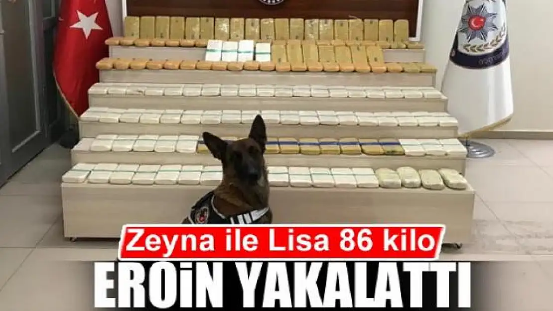 Narkotik köpeği Zeyna ile Lisa 86 kilo eroin yakalattı