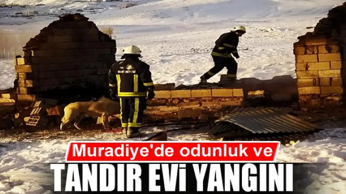 Muradiye'de odunluk ve tandır evi yangını