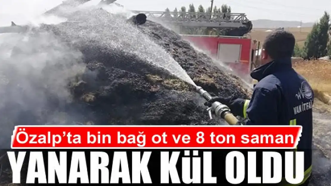 Özalp'ta bin bağ ot ve 8 ton saman yandı