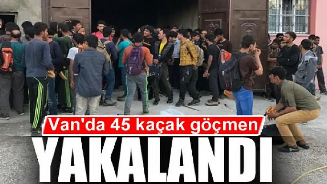 Van'da 45 kaçak göçmen yakalandı