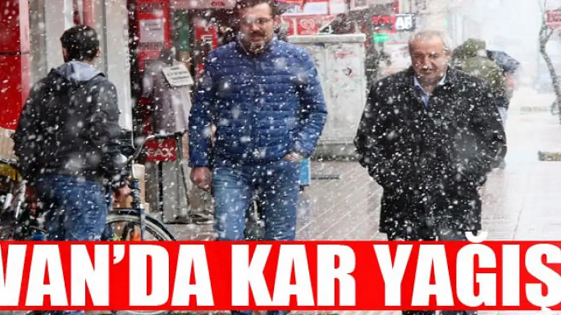 Van'da kar yağışı