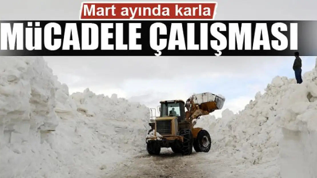 Mart ayında karla mücadele çalışması 