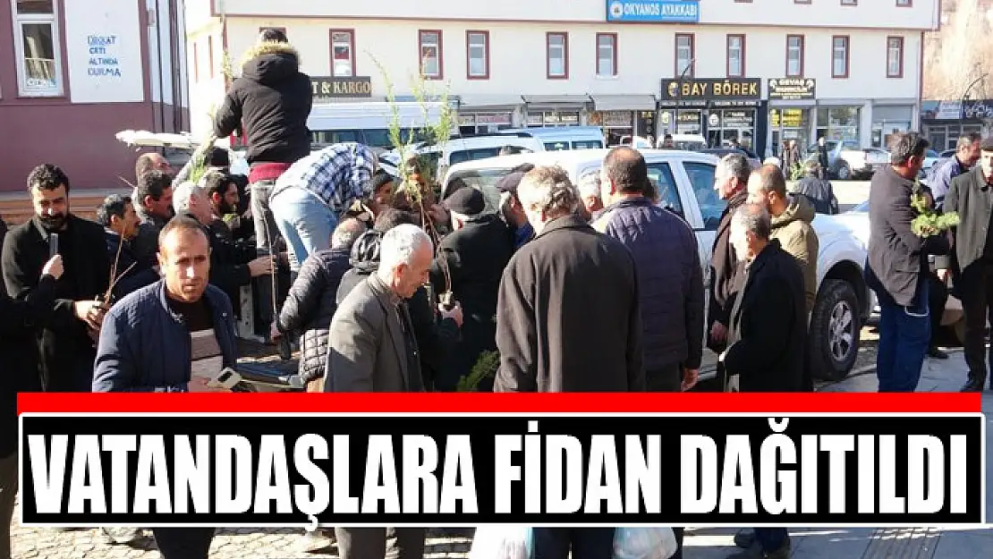 Vatandaşlara fidan dağıtıldı