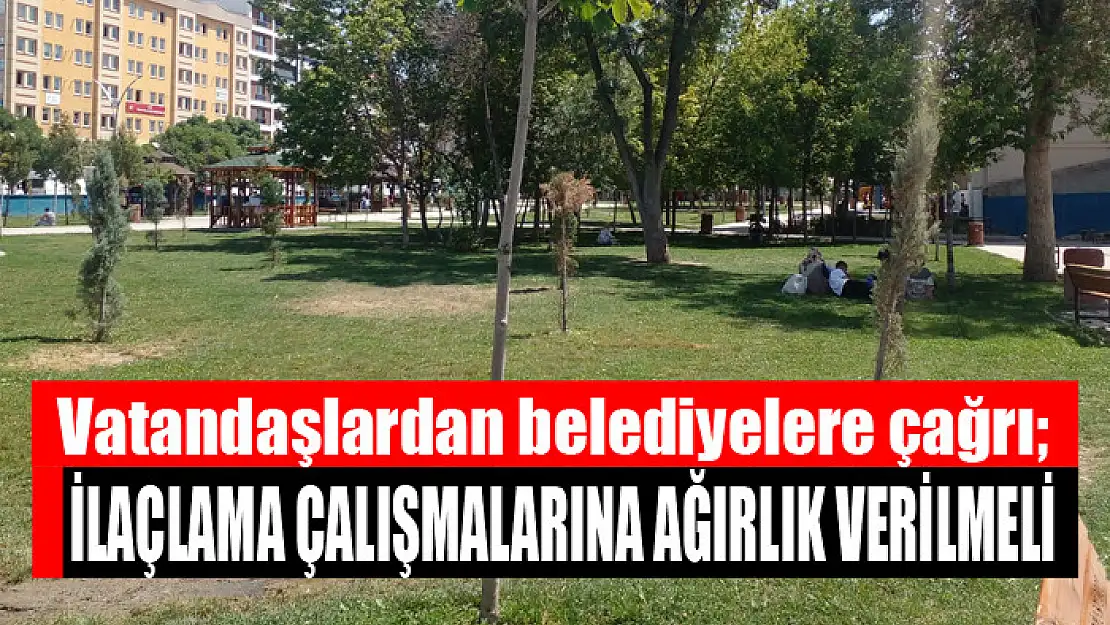 Vatandaşlardan belediyelere çağrı  İlaçlama çalışmalarına ağırlık verilmeli