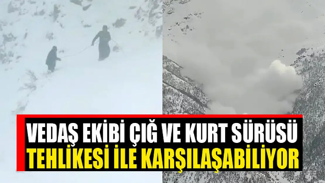 VEDAŞ ekibi çığ ve kurt sürüsü tehlikesi ile karşılaşabiliyor