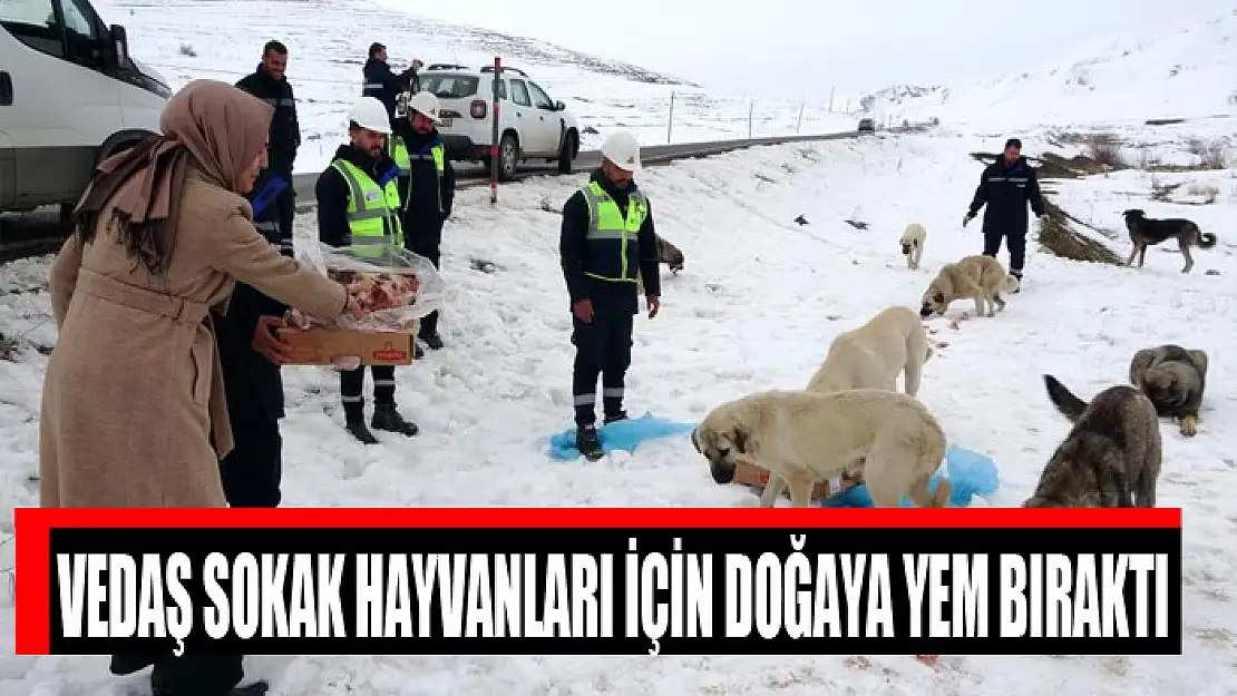 VEDAŞ sokak hayvanları için doğaya yem bıraktı