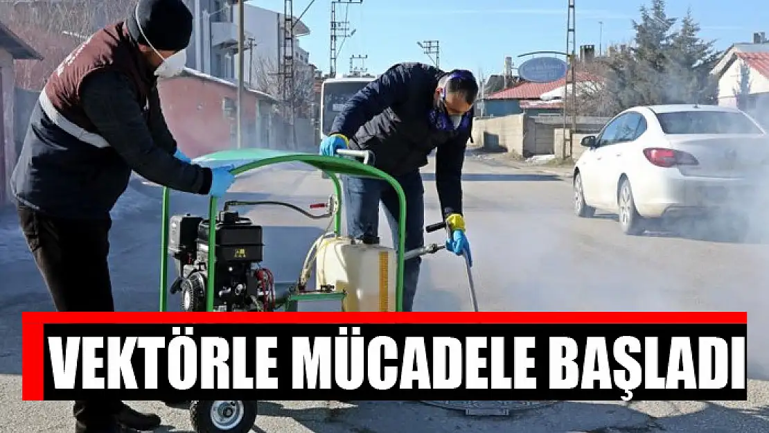 Vektörle mücadele başladı