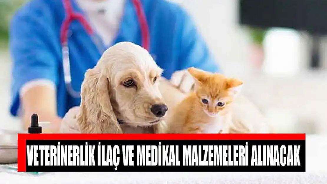 Veterinerlik ilaç ve medikal malzemeleri alınacak