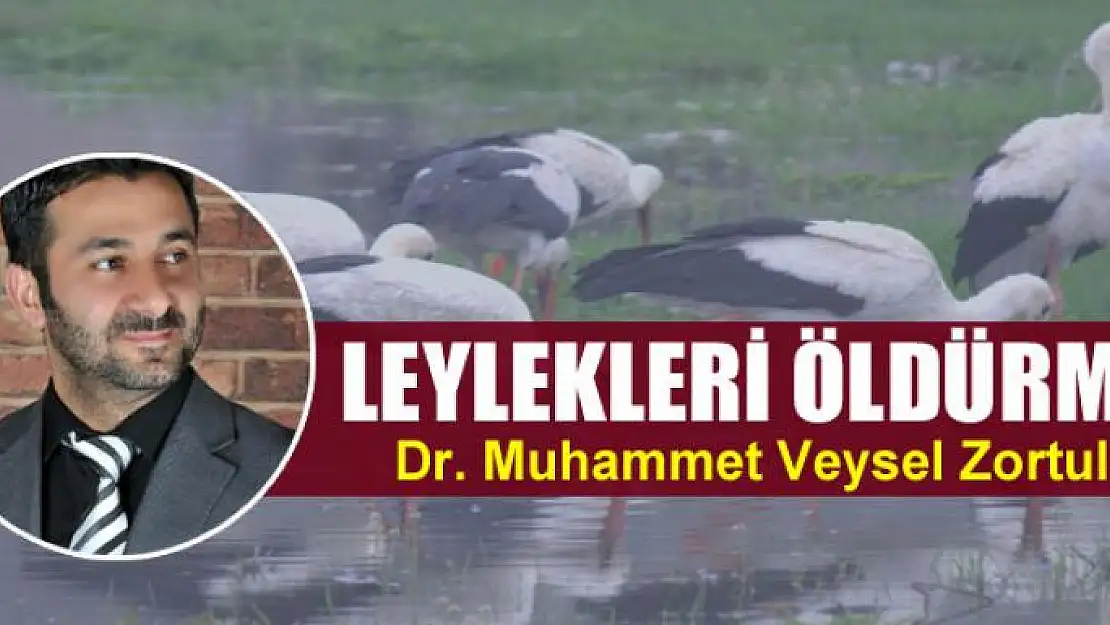 Leylekleri öldürmek