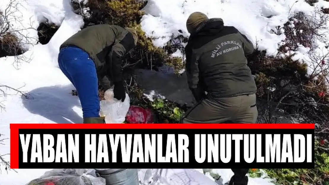 Yaban hayvanlar unutulmadı