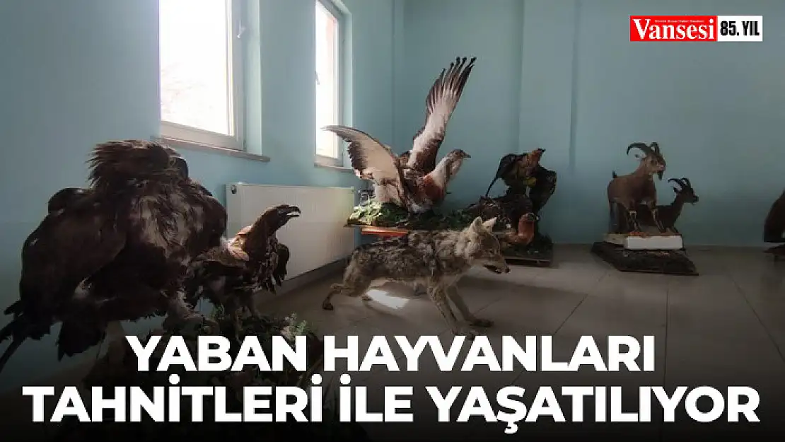 Yaban hayvanları tahnitleri ile yaşatılıyor