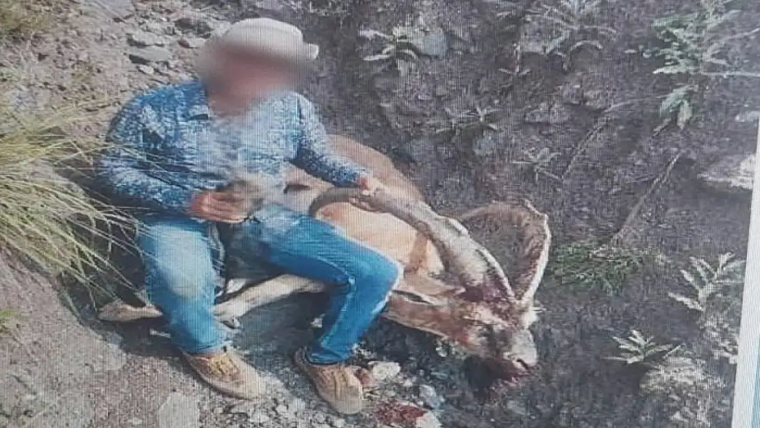 Yaban keçisi avlamanın bedeli ağır oldu