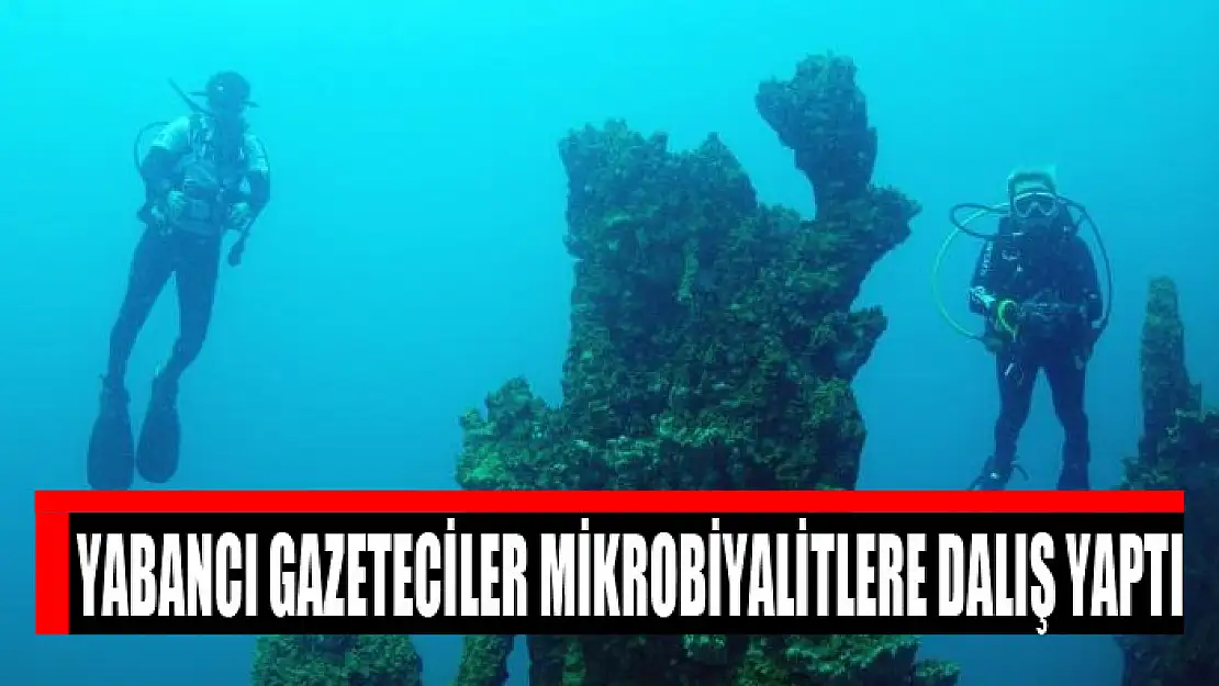 Yabancı gazeteciler mikrobiyalitlere dalış yaptı