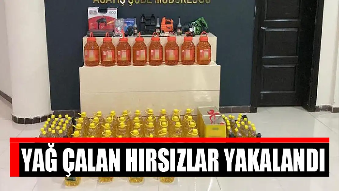 Yağ çalan hırsızlar yakalandı