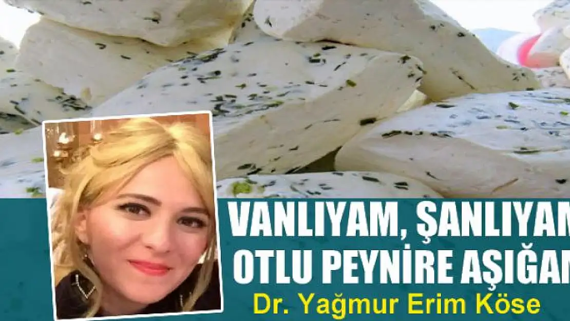 Vanlıyam, Şanlıyam, Otlu Peynire Aşığam