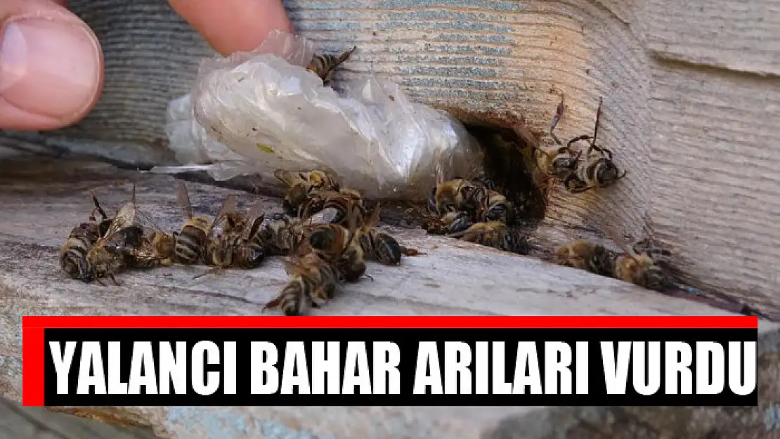 Yalancı bahar arıları vurdu