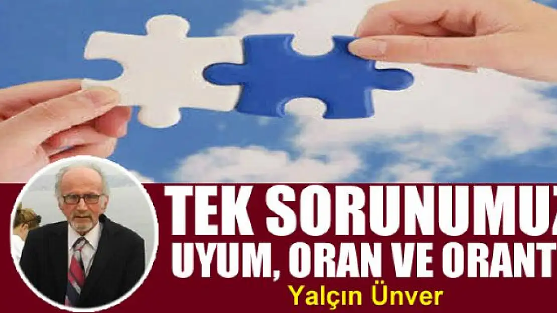 Tek sorunumuz uyum, oran ve orantı