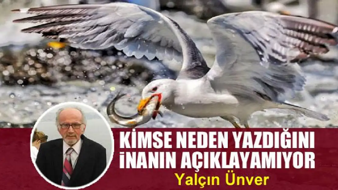 Kimse neden yazdığını inanın açıklayamıyor