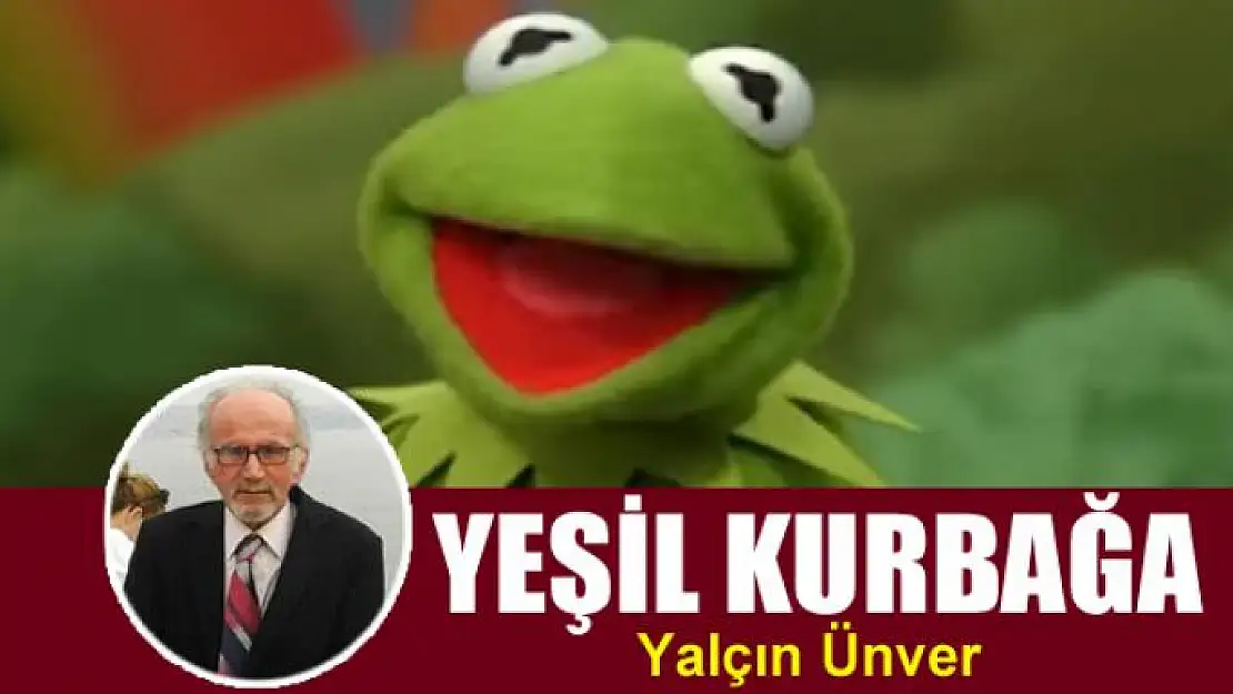 Yeşil Kurbağa 