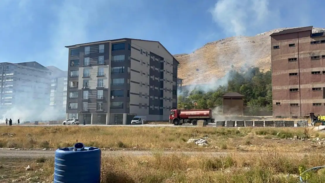 Yangın ağaçlara zarar verdi