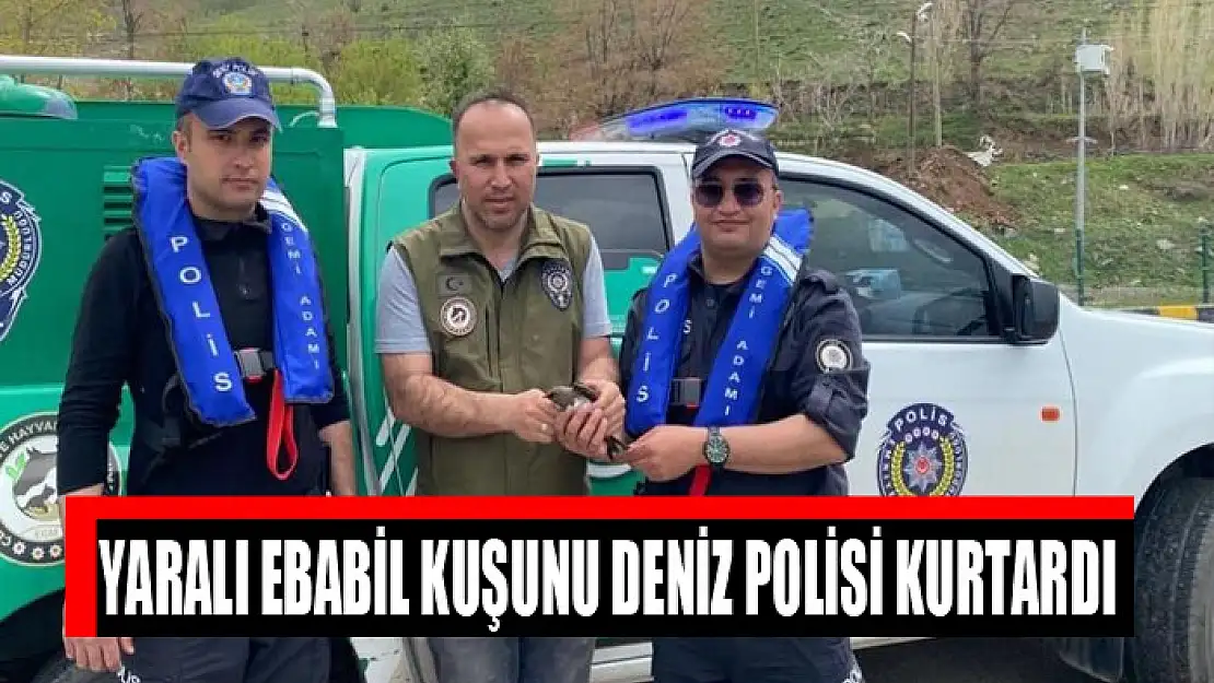 Yaralı ebabil kuşunu Deniz polisi kurtardı