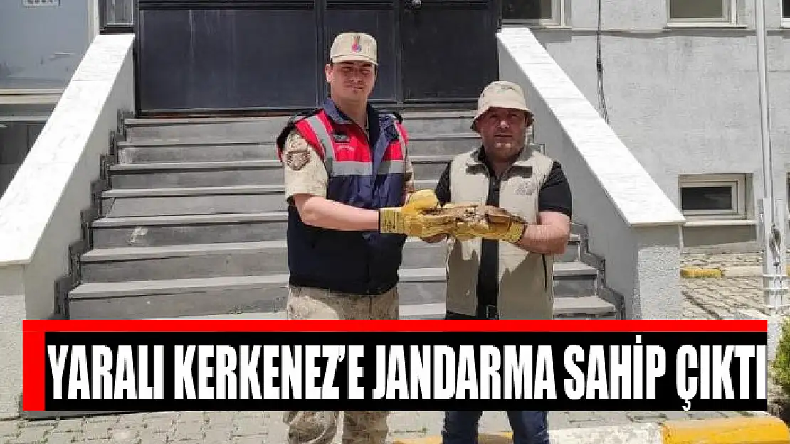 Yaralı Kerkenez'e jandarma sahip çıktı