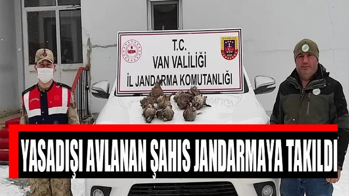 Yasadışı avlanan şahıs jandarmaya takıldı