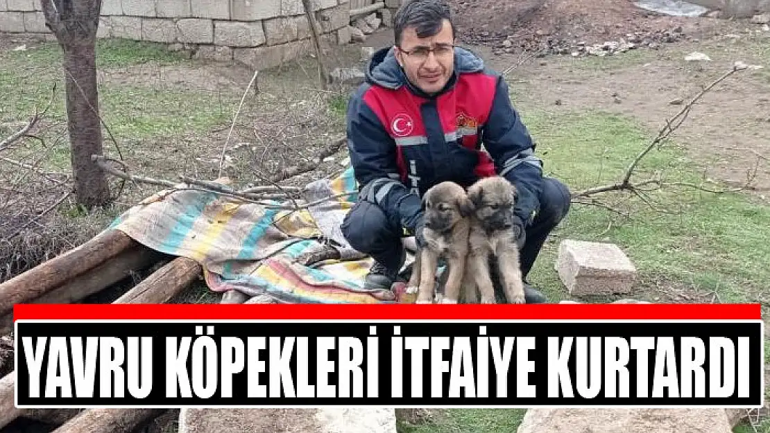 Yavru köpekleri itfaiye kurtardı